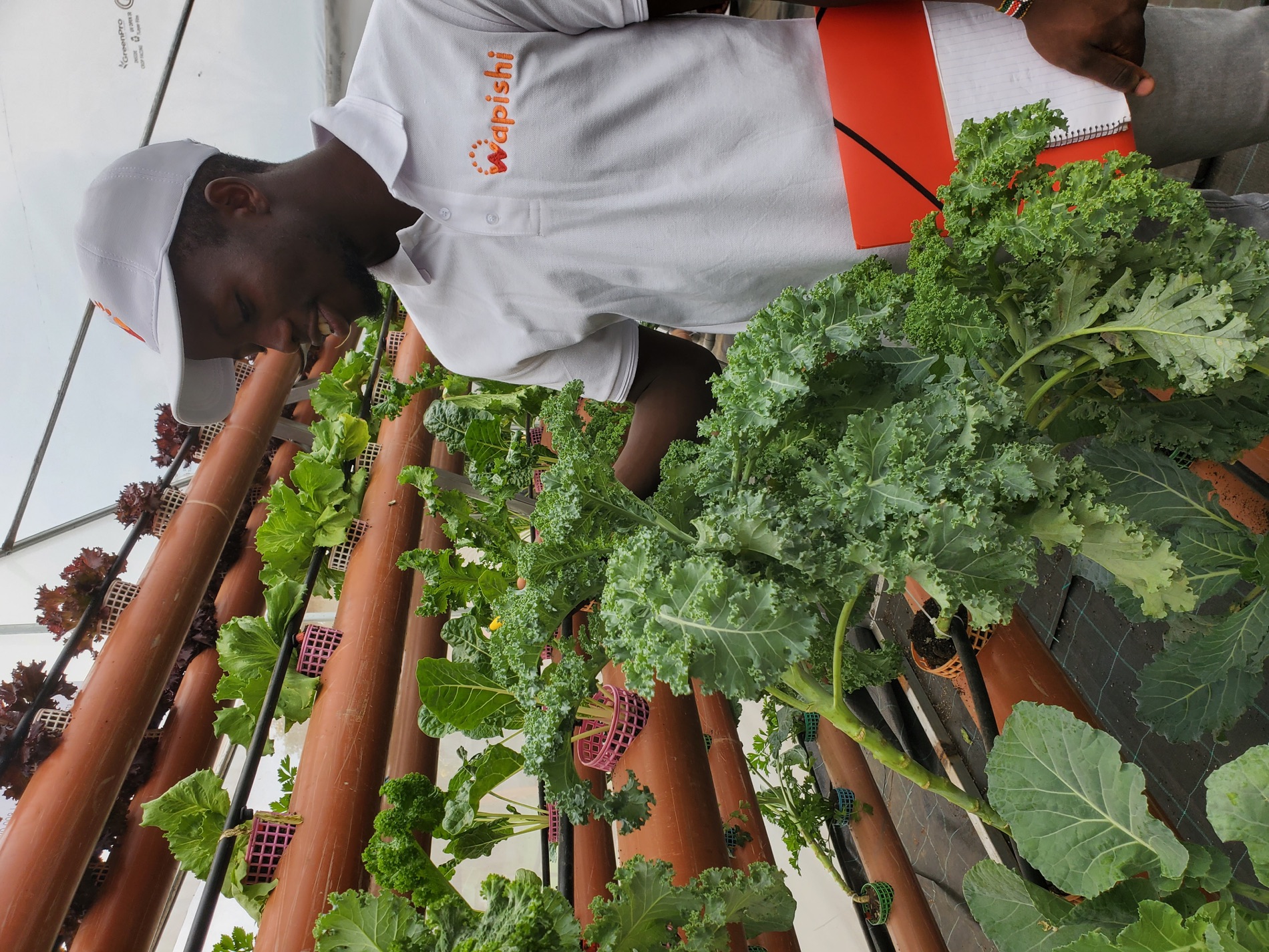 Wapishi team conducting farm produce quality inspection in Kenya